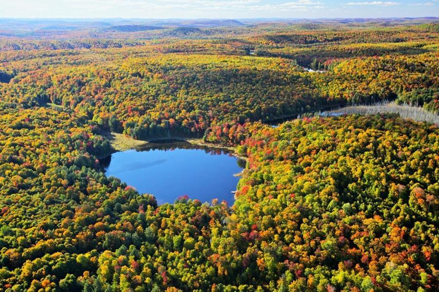 فندق مونتيبيلوفي  Kenauk Nature المظهر الخارجي الصورة